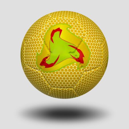 Balón de Futbol #5 Mundial 2002 Final + Afiche